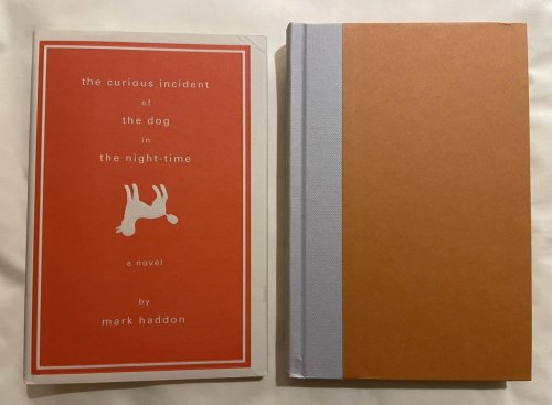 The Curious Incident of the Dog in the Night-Time