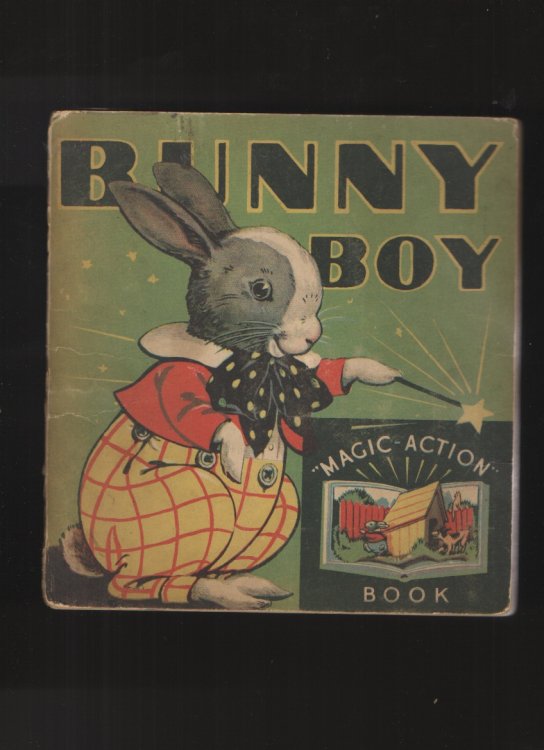 Image for Bunny Boy (Magic Action Book) Bunny Boy (Magic Action Book)