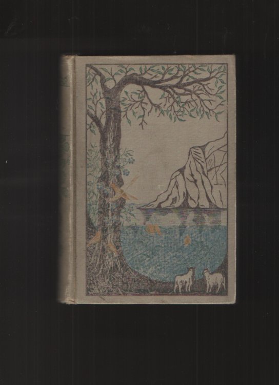 Image for Homes For The Homeless; or, Fourteen Year Among The Orphans Homes For The Homeless; or, Fourteen Year Among The Orphans