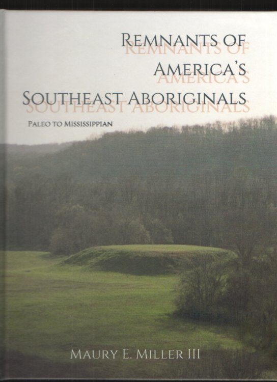 Image for Remnants of America's Southeast Aboriginals Paleo to Mississippian Remnants of America's Southeast Aboriginals Paleo to Mississippian
