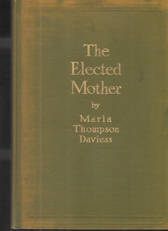 Image for The Elected Mother The Elected Mother