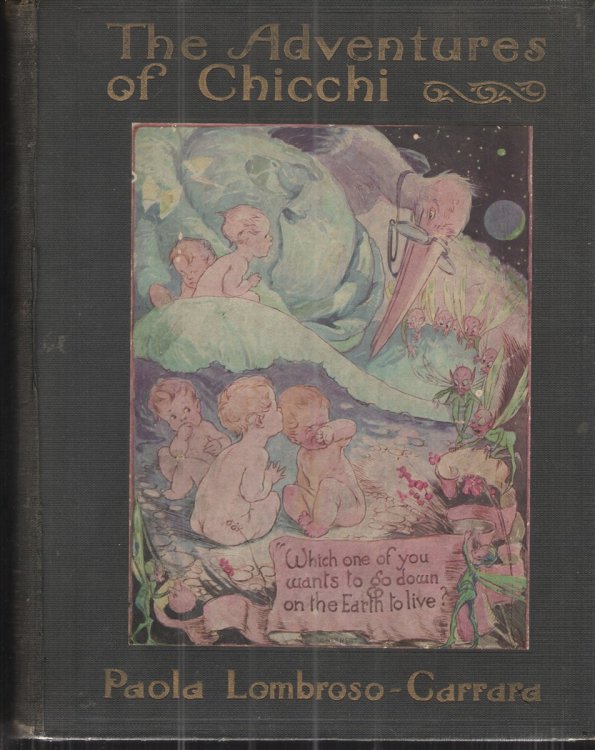 Image for The Adventures of Chicchi The Adventures of Chicchi