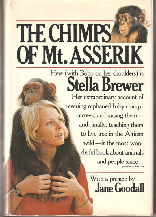 The Chimps of Mt. Asserik