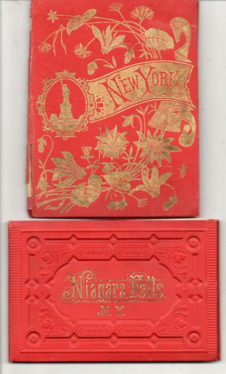 Two View Books: New York; Niagara Falls