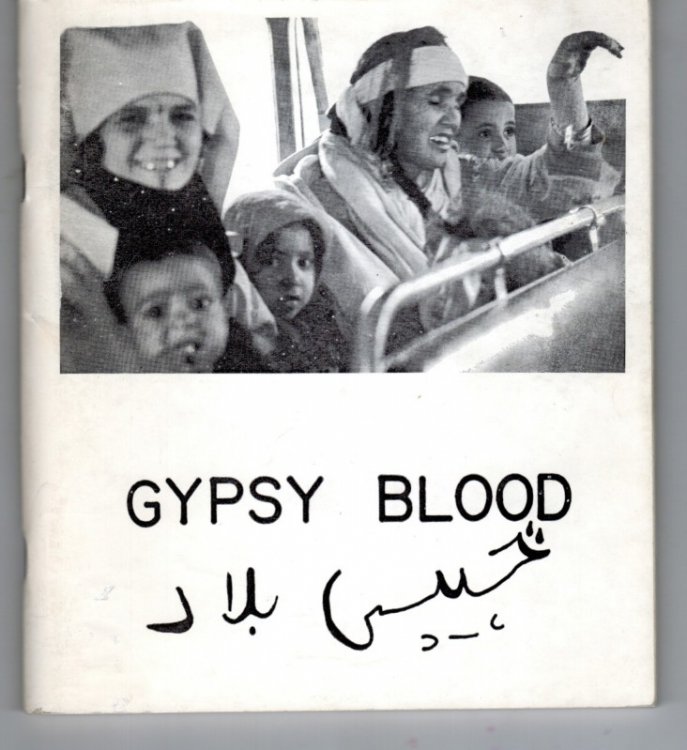 Image for Gypsy Blood. Gypsy Blood.