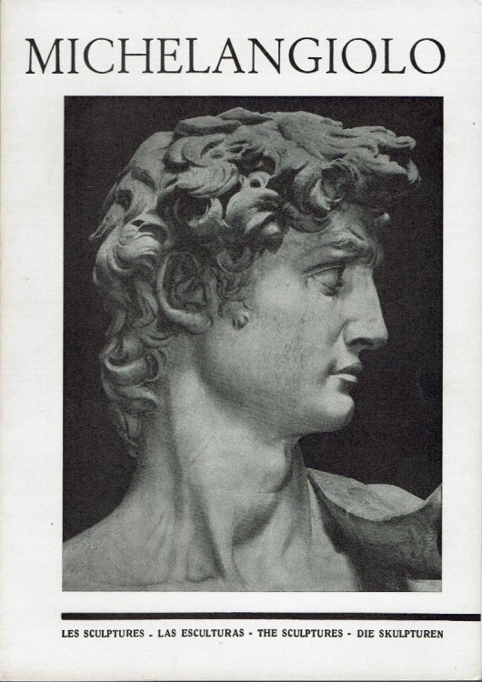 Image for Michelangiolo: The Sculptures Michelangiolo: The Sculptures