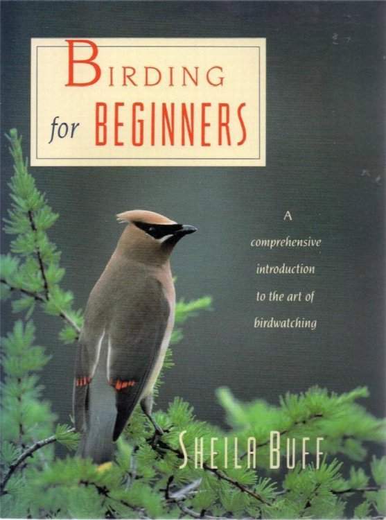 Image for Birding for Beginners Birding for Beginners