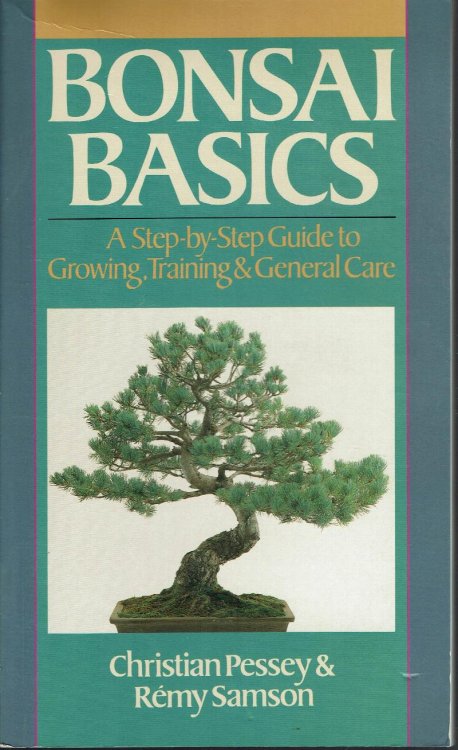 Image for Bonsai Basics: A Step-by-Step Guide to Growing, Training & General Care Bonsai Basics: A Step-by-Step Guide to Growing, Training & General Care