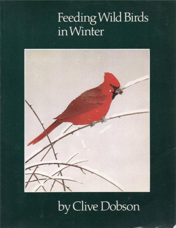 Image for Feeding Wild Birds in Winter Feeding Wild Birds in Winter