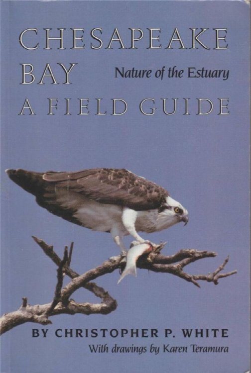 Image for Chesapeake Bay: A Field Guide, Nature of the Estuary Chesapeake Bay: A Field Guide, Nature of the Estuary