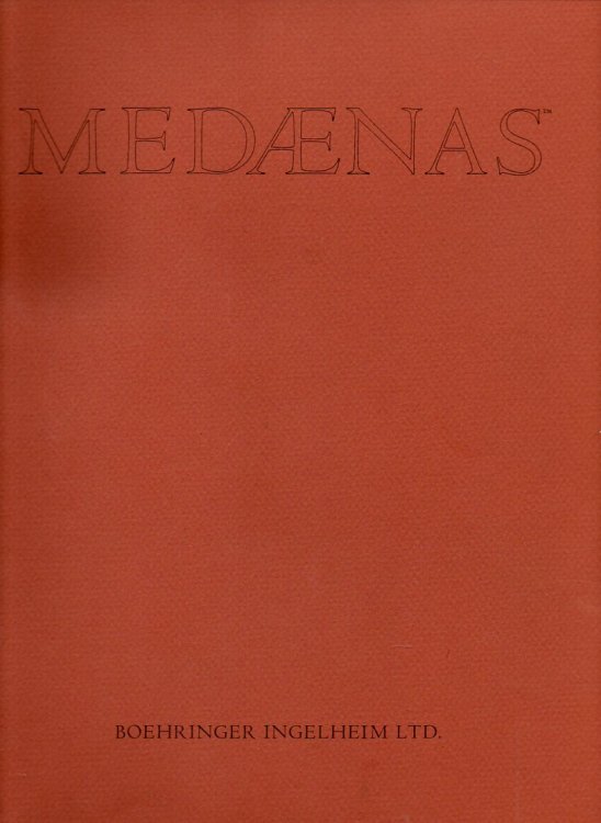 Michelangelo (A Medaenas Monograph on the Arts)