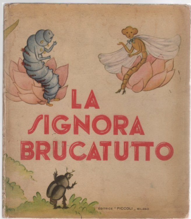 Image for La Signora Brucatutto La Signora Brucatutto