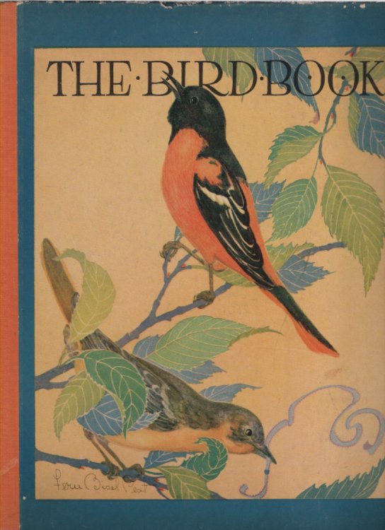 Image for The Bird Book Observations of Bird Life The Bird Book Observations of Bird Life
