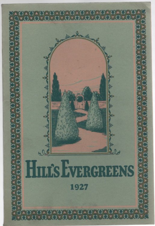Image for Hill's Evergreens 1927 (D. Hill Nursery Company Catalog) Hill's Evergreens 1927 (D. Hill Nursery Company Catalog)