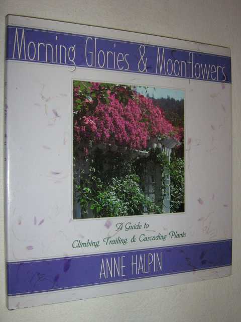 Image for Morning Glories and Moonflowers : A Guide to Climbing, Trailing, and Cascading Plants Morning Glories and Moonflowers : A Guide to Climbing, Trailing, and Cascading Plants
