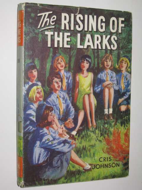 The Rising of the Larks