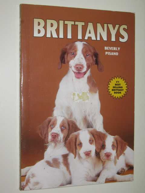 Brittanys