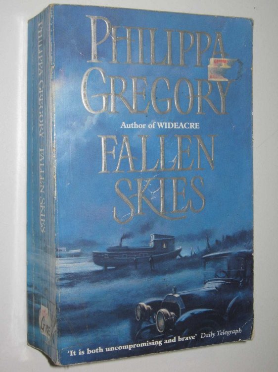 Fallen Skies