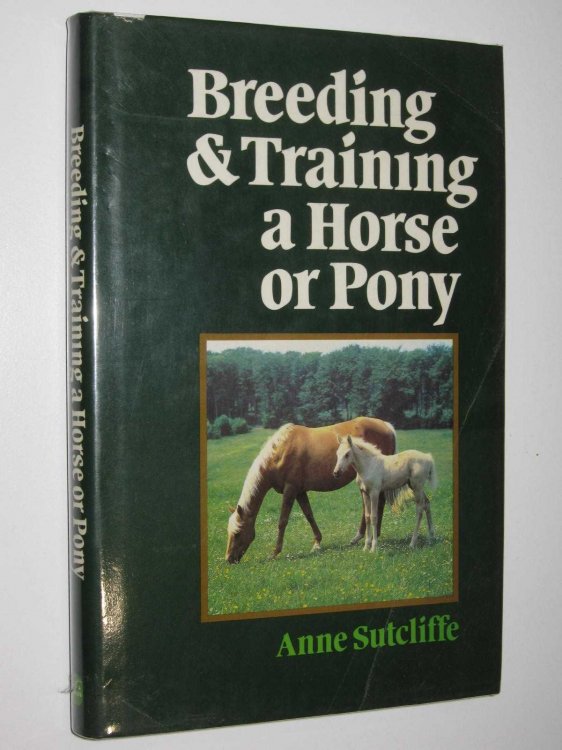 Breeding and Training a Horse or Pony