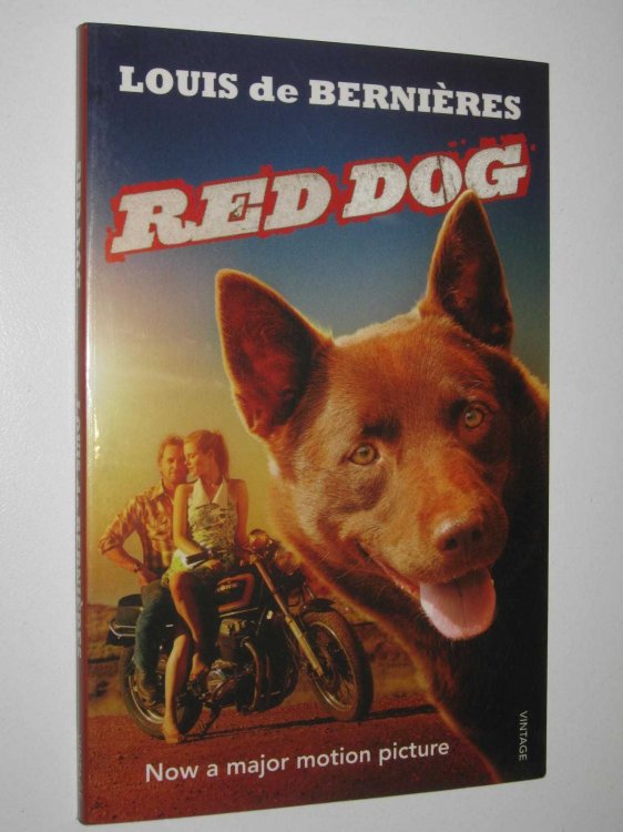 Red Dog