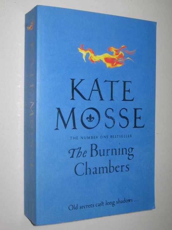 The Burning Chambers - Joubert Family Chronicles #1