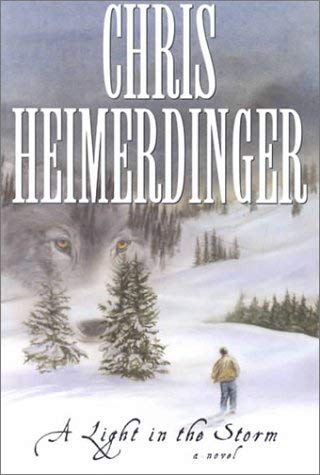 A Light in the Storm: A Novel