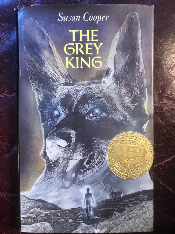 Image for The Grey King Fourth in The Dark Is Rising Series The Grey King Fourth in The Dark Is Rising Series