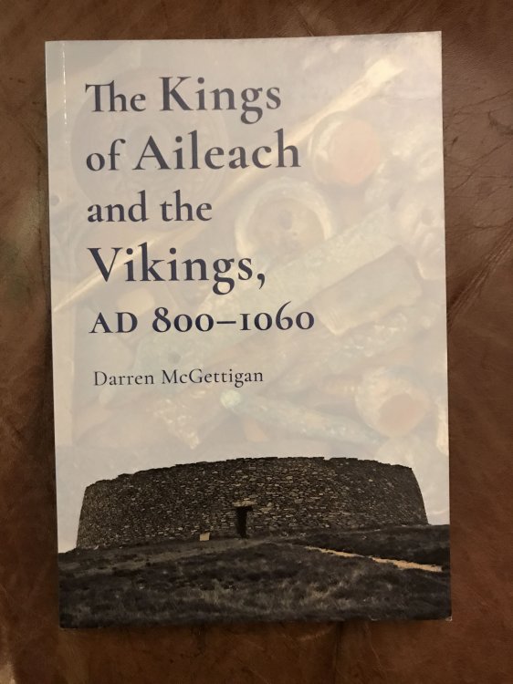 Image for The Kings of Aileach and the Vikings, AD 800-1060 The Kings of Aileach and the Vikings, AD 800-1060