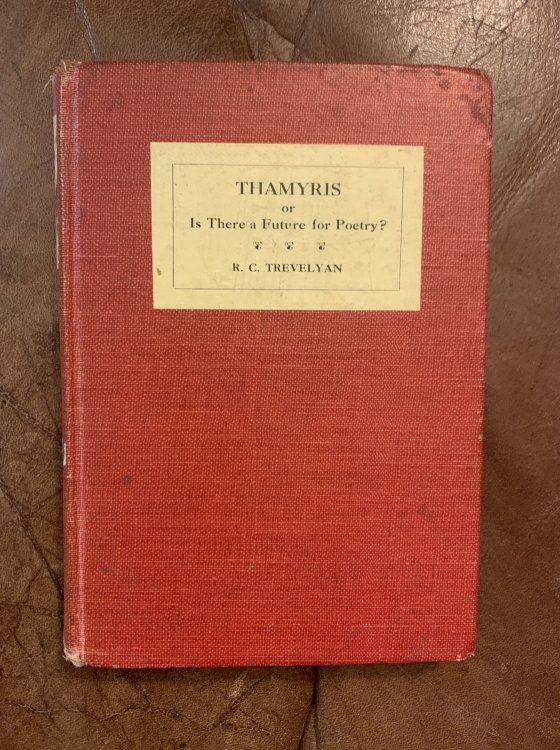 Thamyris Or Is There a Future for Poetry