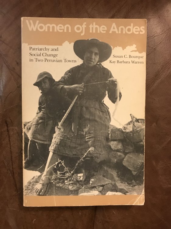 Women of the Andes: Patriarchy and Social Change in Two Peruvian Towns (Women and Culture Series)