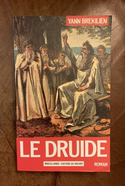 Image for Le Druide Roman (French Edition) Le Druide Roman (French Edition)
