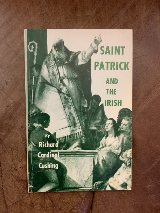 Image for Saint Patrick And The Irish Saint Patrick And The Irish