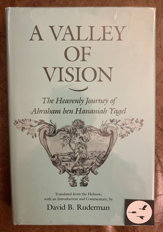 A Valley of Vision The Heavenly Journey of Abraham Ben Hananiah Yagel