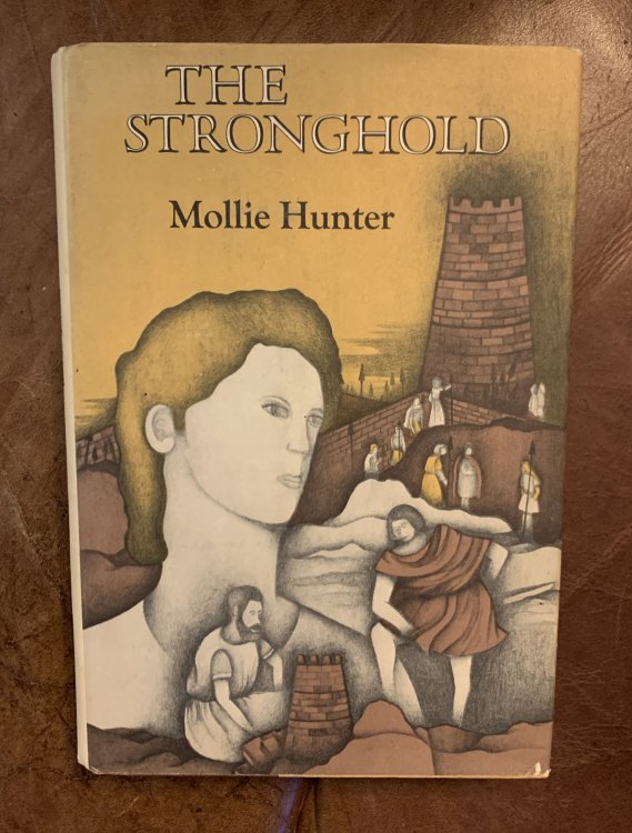 Image for The Stronghold The Stronghold