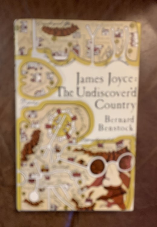 Image for James Joyce: The Undiscover'd Country James Joyce: The Undiscover'd Country