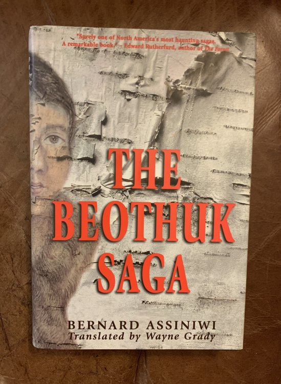 Image for The Beothuk Saga The Beothuk Saga