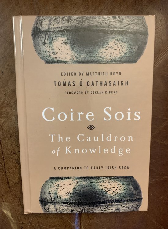 Image for Coire Sois The Cauldron of Knowledge A Companion To Early Irish Saga Coire Sois The Cauldron of Knowledge A Companion To Early Irish Saga