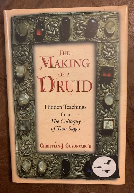 The Making Of A Druid Hidden Teachings from The Colloquy of Two Sages