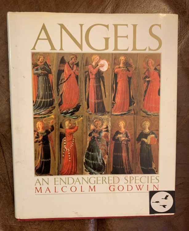 Image for Angels An Endangered Species Angels An Endangered Species
