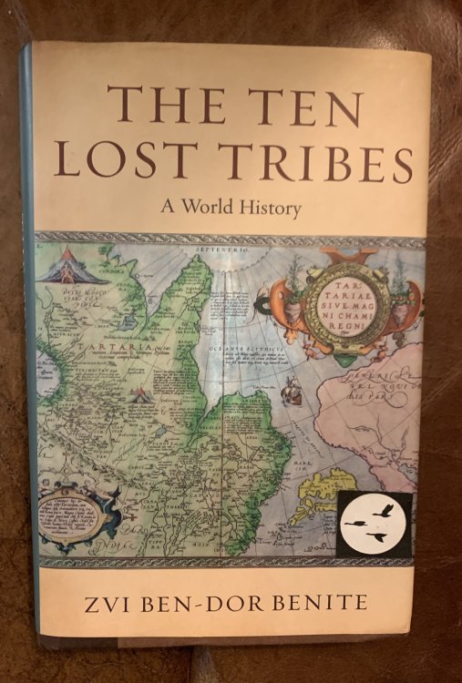 Image for The Ten Lost Tribes A World History The Ten Lost Tribes A World History