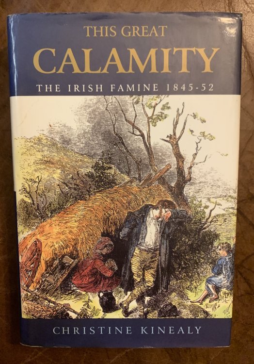 Image for This Great Calamity: the Irish Famine 1845-52 This Great Calamity: the Irish Famine 1845-52