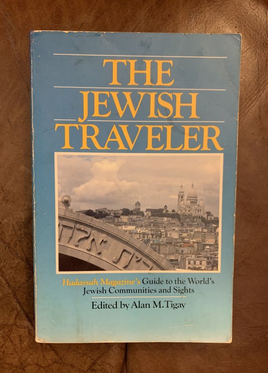 Image for The Jewish Traveller The Jewish Traveller