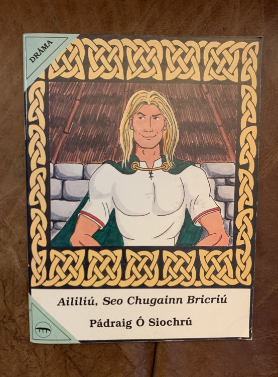 Image for Aililiu, Seo Chugainn Bricriu Aililiu, Seo Chugainn Bricriu