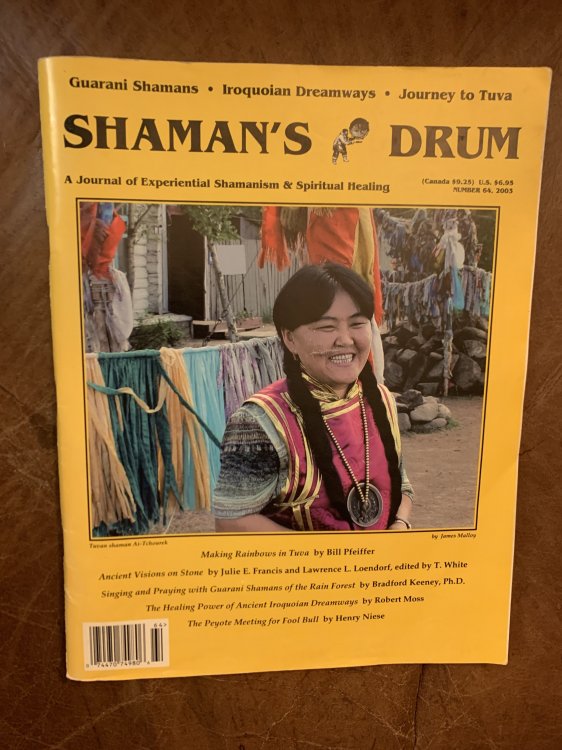 The Healing Power Of Ancient Iroquoian Dreamways by Robert Moss Shaman's Drum Number 64, 2003