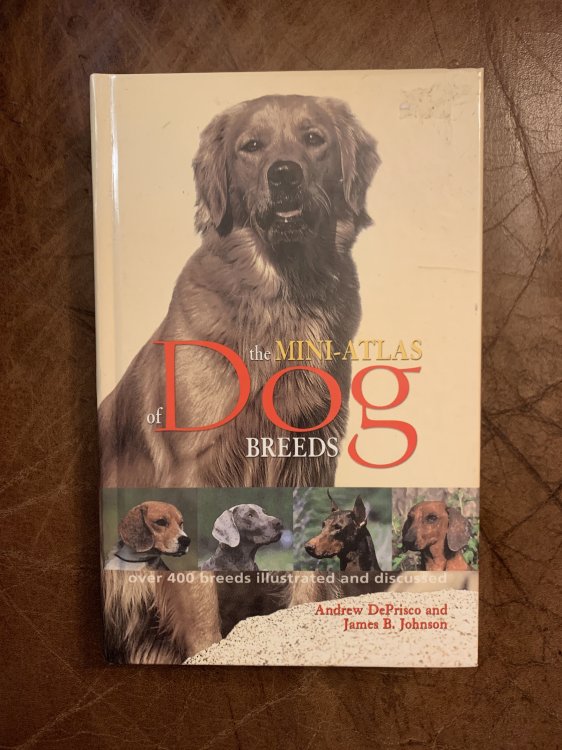 Image for The Mini-Atlas Of Dog Breeds Over 400 Breeds Illustrated and Discussed Hardcover The Mini-Atlas Of Dog Breeds Over 400 Breeds Illustrated and Discussed Hardcover