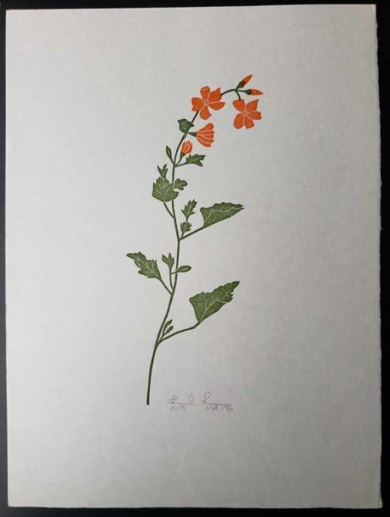 Linoleum Block Print of a Northern California Plant or Flower: Untitled. Signed and Numbered by Dr. Edmund E. Simpson.
