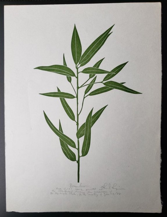 Linoleum Block Print of a Northern California Plant or Flower: Bamboo. Signed and Numbered by Dr. Edmund E. Simpson.