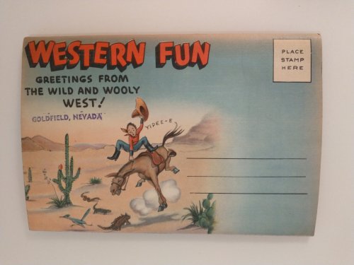 WESTERN FUN MULTI VIEW MAILER