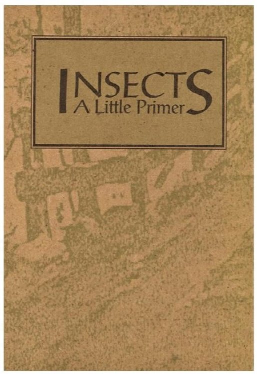 Image for Insects: A Little Primer (Wonderlings) Insects: A Little Primer (Wonderlings)