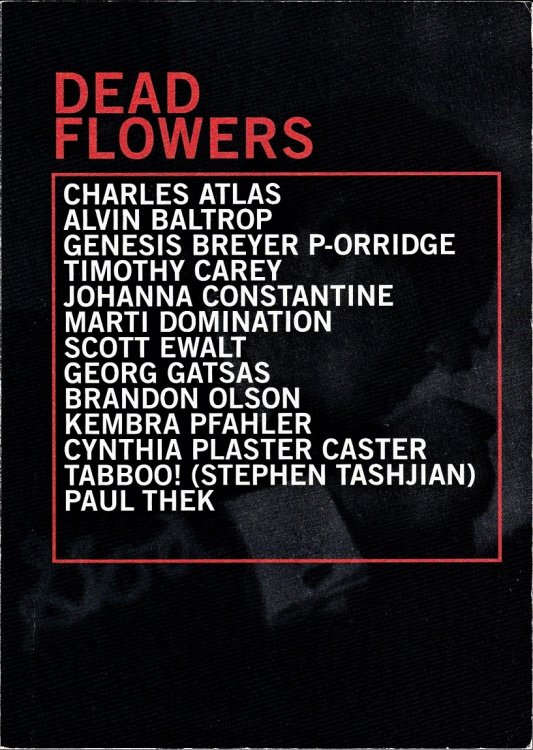 Image for Dead Flowers Dead Flowers